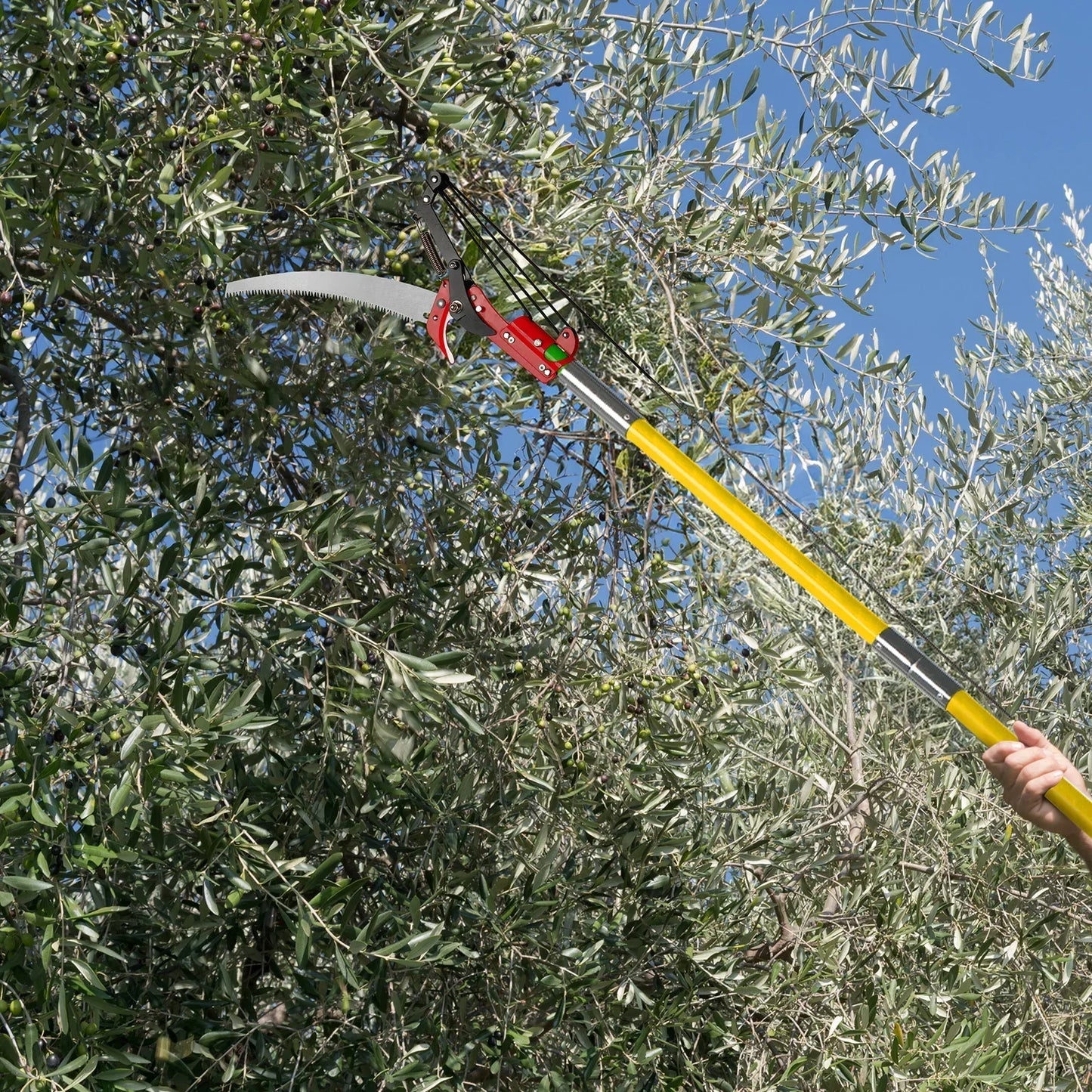 Lightweight Manual Pole Saw and Pruner Set for Tree Trimming