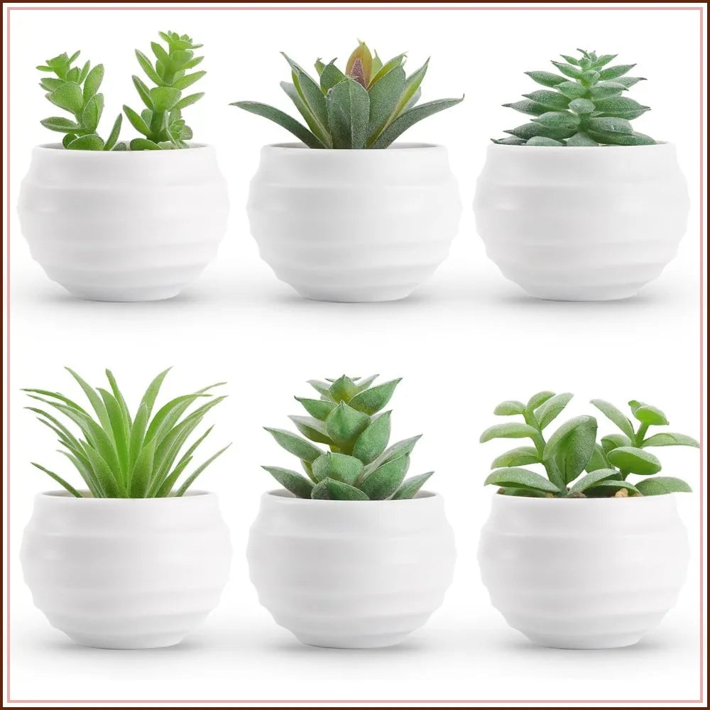 Six Pack Artificial Succulents in Pots for Home Decor