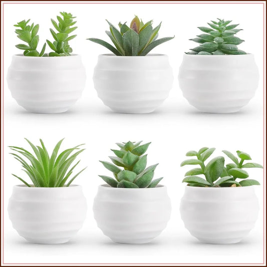 Six Pack Artificial Succulents in Pots for Home Decor