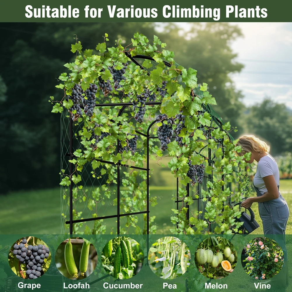 Wisfor U Shaped Metal Garden Trellis For Climbing Plants Vegetables