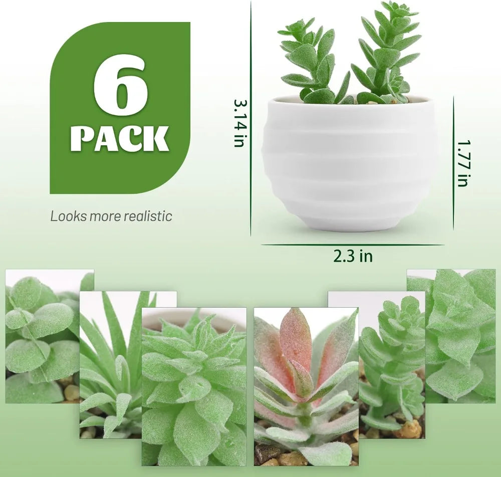 Six Pack Artificial Succulents in Pots for Home Decor