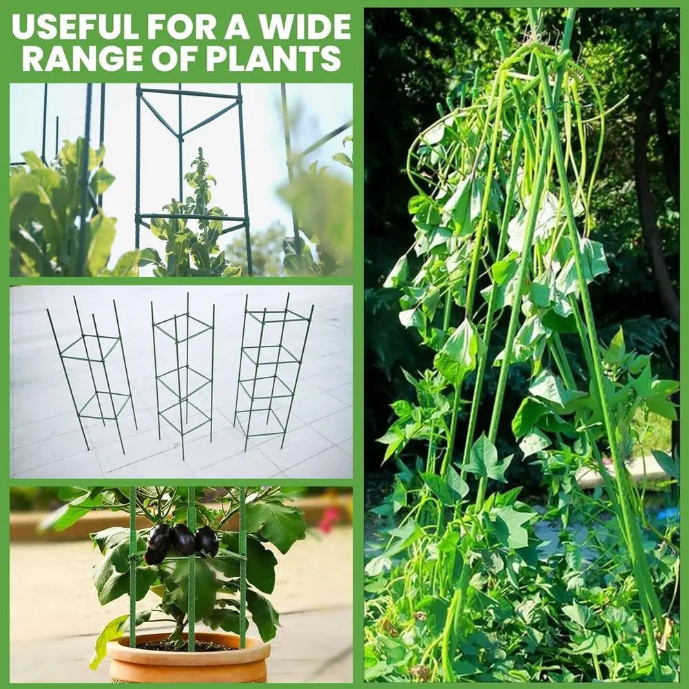 Tomato Cage Garden Stakes Metal Plant Support Trellis