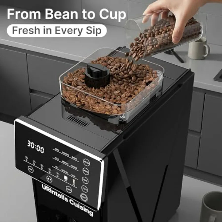 Iosn 22OZ Drip Coffee Maker With Grinder And Carafe