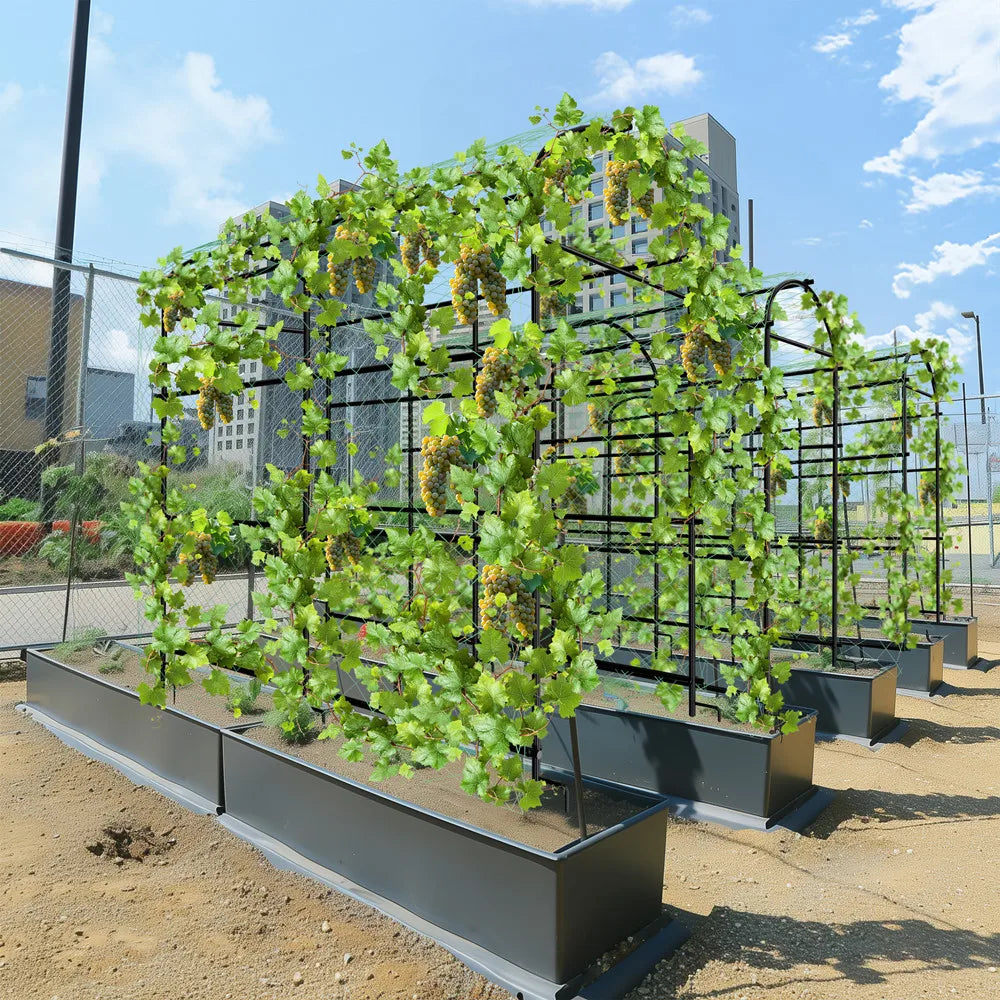 Wisfor U Shaped Metal Garden Trellis For Climbing Plants Vegetables