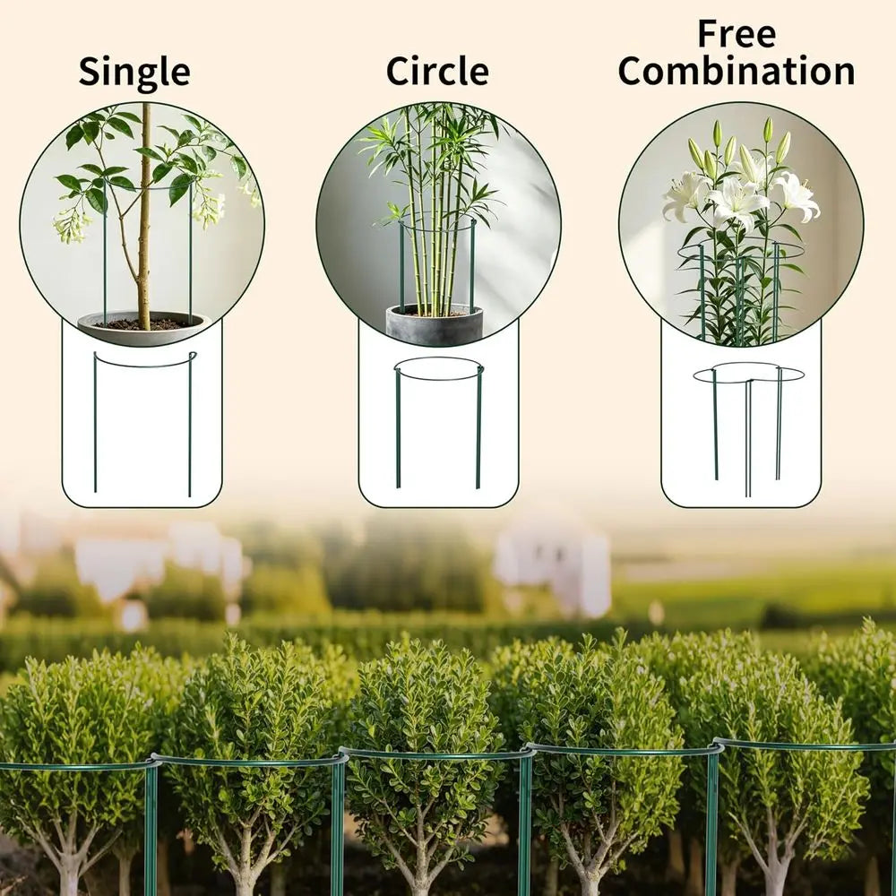 6-Pack Heavy Duty Interlinked Metal Plant Support Cages